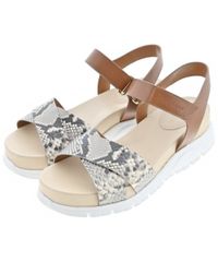 Item thumbnail for item 08841f8c-e590-44ca-87b2-f6d95f2e577a