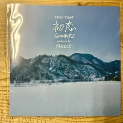 2026年最新】shing02 レコードの人気アイテム - メルカリ