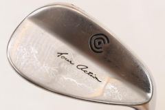 Item thumbnail for item 0f21dcec-74cb-4630-838a-cc1d2e396989