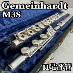 2026年最新】ゲマインハート フルートの人気アイテム - メルカリ