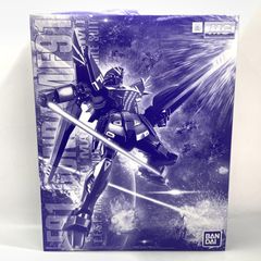 [중고] 반다이 MG 1/100 건담 F91 Ver.2.0(해리슨 매딘 전용기) 기동전사 크로스본 건담[10][240010494512]