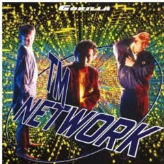 CD / TM NETWORK / GORILLA (Blu-specCD2)
