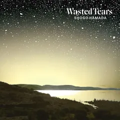 2026年最新】浜田省吾アナログ盤の人気アイテム - メルカリ