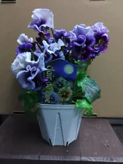 雪月花様専用ページ　クレール･ドゥ･リュンヌ