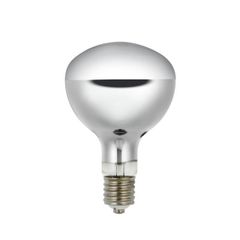 Item thumbnail for item ea81bd07-7b74-49d9-91ff-2ffa9b957bd9