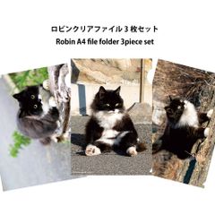 Item thumbnail for item 7d08e34b-5c16-4775-8f9b-b17fcfdfe2a6