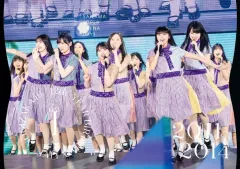【中古】邦楽DVD 乃木坂46 / 12th YEAR BIRTHDAY LIVE DAY1
