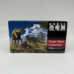希少 グラフ サウルス ver.2.0ソフト GRAPH SAURUS - メルカリ