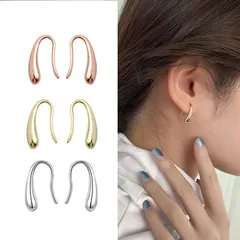 ピアス レディース 小さめ 金属アレルギー対応 ティアドロップ スモール フックピアス シンプル ポイント消化 誕生日 プレゼント