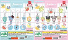 JOCHUM めじるしアクセサリー1・JOCHUM めじるしアクセサリー2全11種フルコンプセット