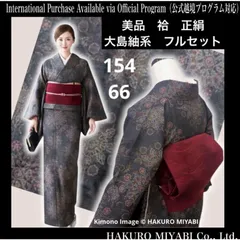 未使用近い　美品　袷　正絹　紬　大島紬系　小紋　フルセット　コ3