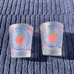 Item thumbnail for item 1a7d7a49-f7b5-43e6-b559-4209d588bc77