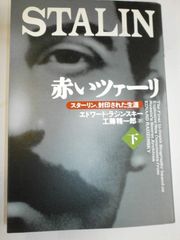 THE STALIN 遠藤ミチロウ 石垣章 写真集 スターリン 中村達也 - メルカリ