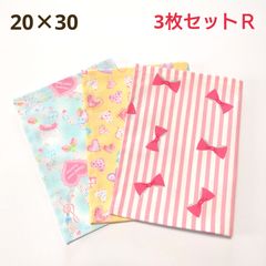 ランチョンマット3枚セットR - メルカリ