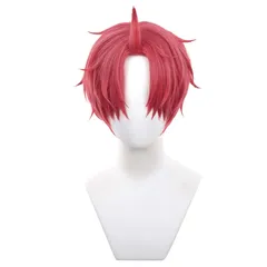 文化祭 学園祭 ハロウィン コミケイベント 仮装 男女両用 ウィッグネット付き コスプレ用小物 耐熱ウィッグ 仮装用 フルウィッグ 変装 アニメ コスプレ ウィッグ ショート レッド