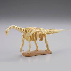海洋堂 恐竜発掘記8 カマラサウルス 骨格 フィギュア ガチャ 新品未使用