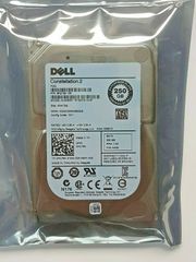 ADATA DDR5 PC5-67200 24GB 2枚組 8400MT/s - メルカリ