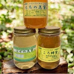 北海道生はちみつ 特選しころ蜜 特選そば蜜 ボダイジュ系百花 600g3本