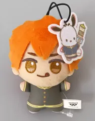 【中古】ぬいぐるみマスコット・ぬいぐるみバッジ 日向翔陽×ポチャッコ ちびぐるみvol.1 「ハイキュー!!×サンリオキャラクターズ」