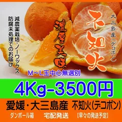 不知火（デコポン）4Kg　濃厚美味！　ポンカンと姉妹です