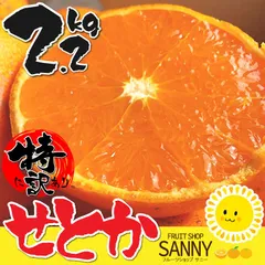 みかん 高級品種 せとか 愛媛産 特に訳あり せとか 箱込2.2kg（2kg+保証分200g）（外皮の傷・シミ多め）