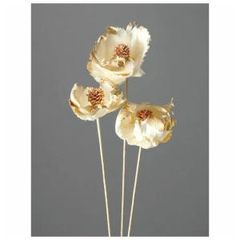 Item thumbnail for item 3209eb0c-3029-4fd0-92ae-947ec0c36168