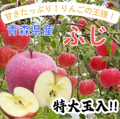 ★期間限定★青森県産 ふじ りんご 特大玉入 6~8玉 ⑧