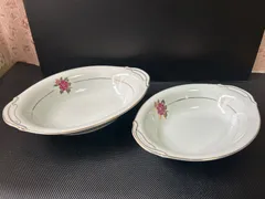 【昭和レトロ】カレー皿 大小 2枚セット