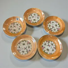 某有名オークション購入 日陶蓮 5客揃え 食器 時代物 花柄 未使用品 アンティーク