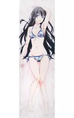 正規品 新品 未開封 水原優 rip@lip 楠木香澄 抱き枕カバー RIP@LIP 水原優 楠木香澄 抱き枕カバー SJあり 新人インストラクター