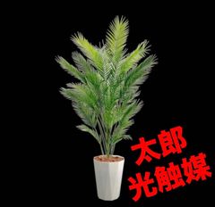 光触媒 人工観葉植物 ウォールグリーン フェイクグリーン オーガスタ