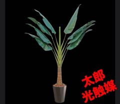 光触媒 人工観葉植物 ウォールグリーン フェイクグリーン アレカパーム