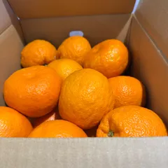 2026年最新】みかん 訳あり 10kgの人気アイテム - メルカリ