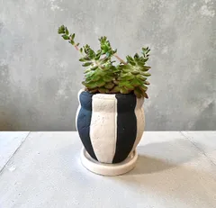 植木鉢 花器 陶器 ベージュ 黒 底穴あり 受け皿付き 外寸12.5cm 高さ11.5cm 塊根植物 多肉植物 観葉植物