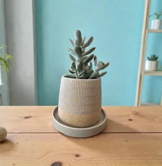 植木鉢 花器 陶器 グレー 底穴あり 受け皿付き 外寸10cm 高さ11.5cm 塊根植物 多肉植物 観葉植物