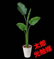 光触媒 人工観葉植物 ウォールグリーン フェイクグリーン トラベラーズ