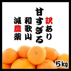 【安心安全】和歌山 減農薬みかん 箱込み 5kg 甘い！農薬節約栽培