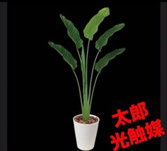 光触媒 人工観葉植物 ウォールグリーン フェイクグリーン アセビ8322