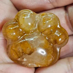 ゴールデンヒーラー✨肉球✨カービング✨