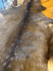 鹿の毛皮 ラグ敷物 毛革 鹿革 鹿8 ブッシュクラフト 野営 キャンプ タペストリー エゾジカ