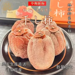 2026年最新】蜂屋柿の人気アイテム - メルカリ
