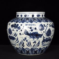 青花 飛龍紋 染付 火鉢 唐物 魚缸 水甕 中国古玩 清代 青華 睡蓮鉢
