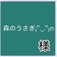 森のうさぎ₍ᐢ.ˬ.ᐢ₎ෆプロフ必読様専用