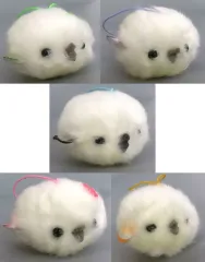 2026年最新】ふくふくシマエナガふわふわぽんの人気アイテム - メルカリ