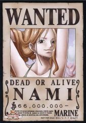 ワンピース ナミ Wanted ポスター ワンピースマガジン 付録 手配書