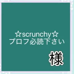 ☆scrunchy☆プロフ必読下さい様専用