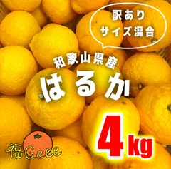 和歌山県産有田のはるか サイズ混合 4kg 訳あり 有田みかん