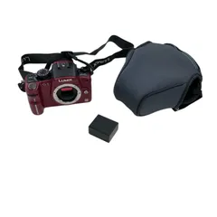 186000 ジャンク品 Panasonic パナソニック ミラーレス一眼 LUMIX DMC
