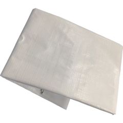 Item thumbnail for item 8d5d78f0-c64e-4d7c-8710-4d46f21d099b