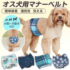 Item thumbnail for item db6875e0-829e-4acf-89d1-fb5c01317221